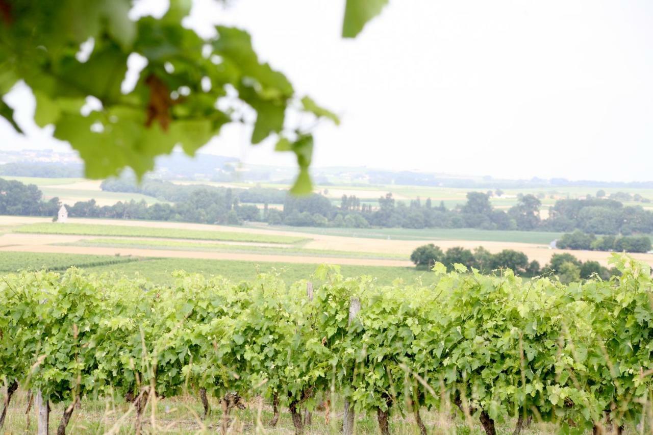 Bed and Breakfast Au Coeur des Vignes à Archiac Extérieur photo